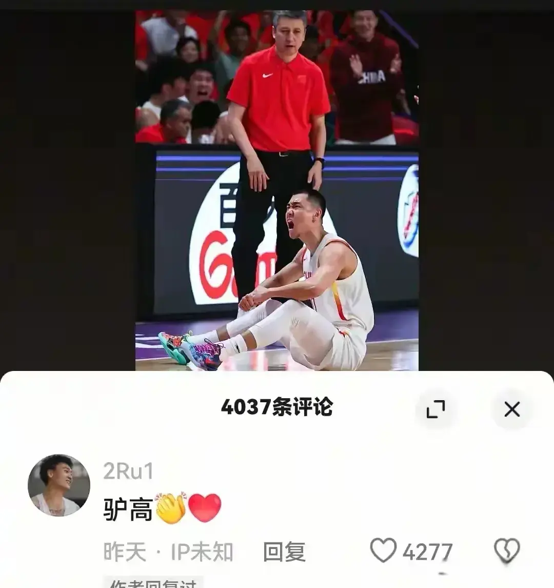 的良好表现, AA, 高诗岩疯狗